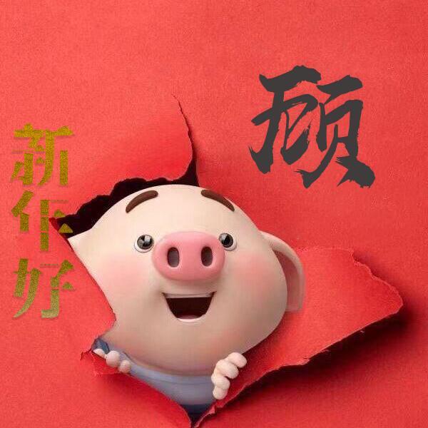 火红的猪年微信姓氏头像,2019喜庆头像一定给你带来好运