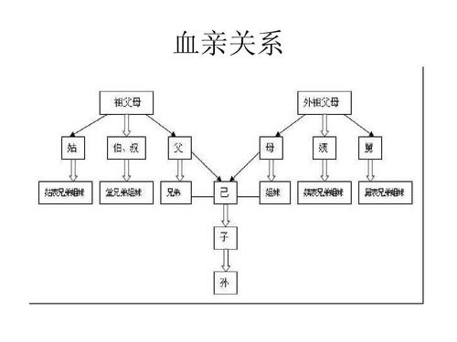 第1页 下一页 (共5页,当前第1页) 你可能喜欢 血亲关系图 直系血亲