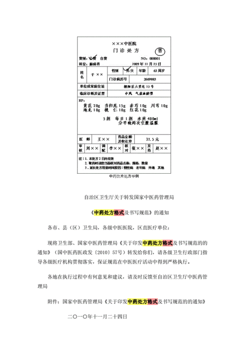 中药处方格式及书写规范审批稿.docx 7页