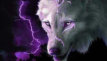 qq头像狼帅气霸气