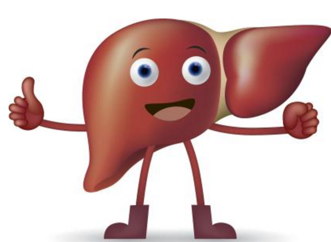 肝胀有问题前,身体会发生哪些变化