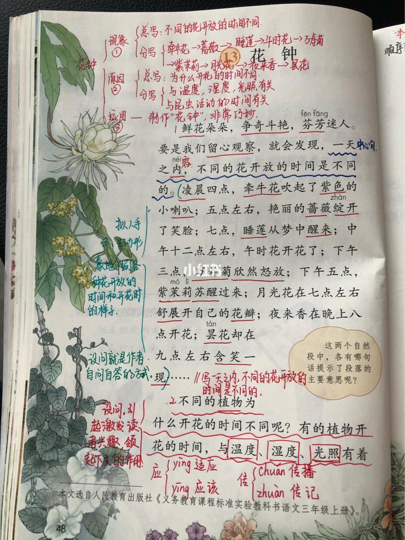 三年级语文下册《花钟》备课笔记