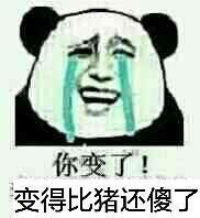 变得比猪还傻了表情包 - 表情图