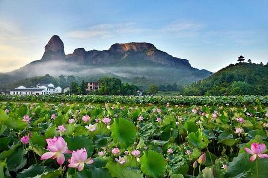 《快乐大本营》公益宣传"石城白莲"