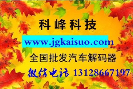 汽车干扰解码器价格 汽车开锁遥控解码器