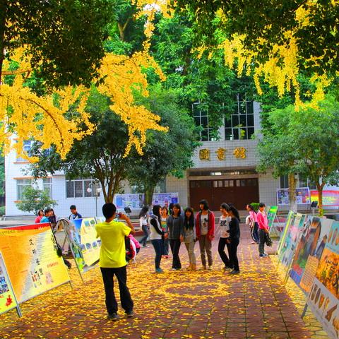 贵港教育 贵港高中 平南县中学信息