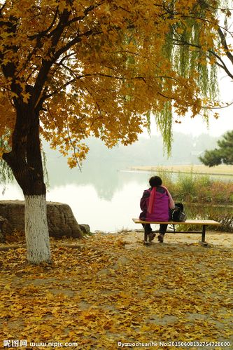 秋天与老人图片