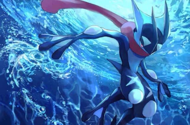 口袋妖怪人气最高的四位御三家甲贺忍蛙实在是太强了