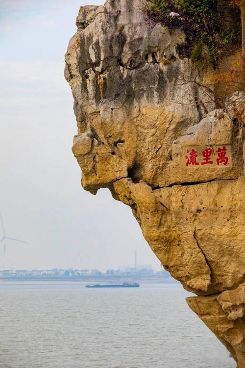 湖口石钟山风景区,石缝中生长的树木顽强湖口石钟山风景区,梅花厅旁的