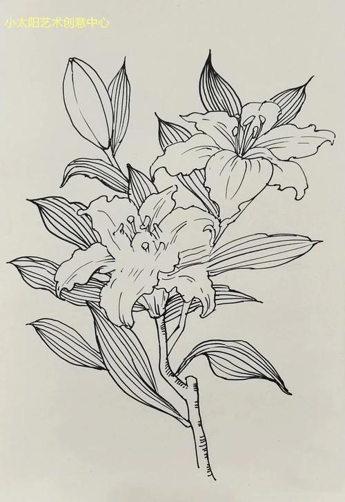 创意课程|美丽的百合花