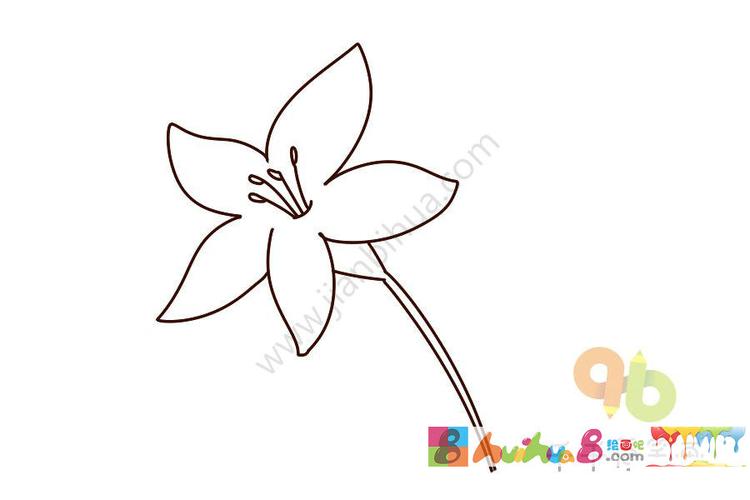 百合花简笔画怎么画简笔画教程_绘画吧-画画