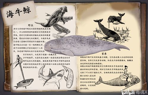 方舟自创生物海牛鲸