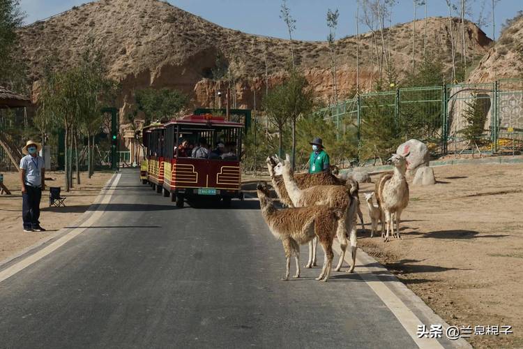 美丽的兰州野生动物园