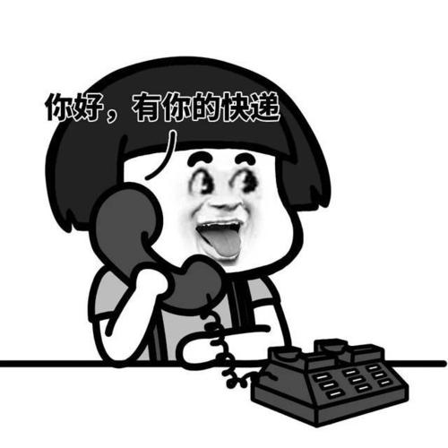 表情包#你好,这里有你的快递.