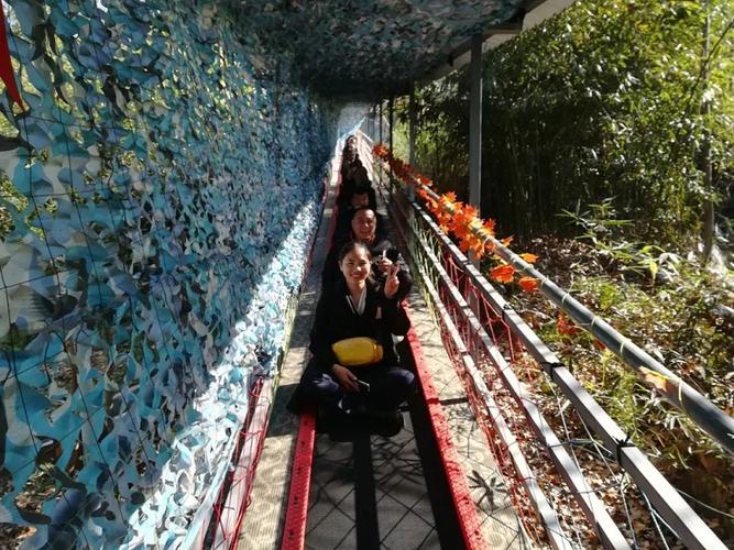 观光魔毯-景区上山代步传送魔毯项目清凉山景区内有条景区上山魔毯