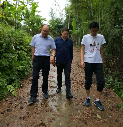 户脱贫奔康,按照县委,县政府指示精神,在党委书记,主任黄永德带领下