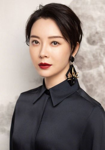 明星图集 陈数 美图写真