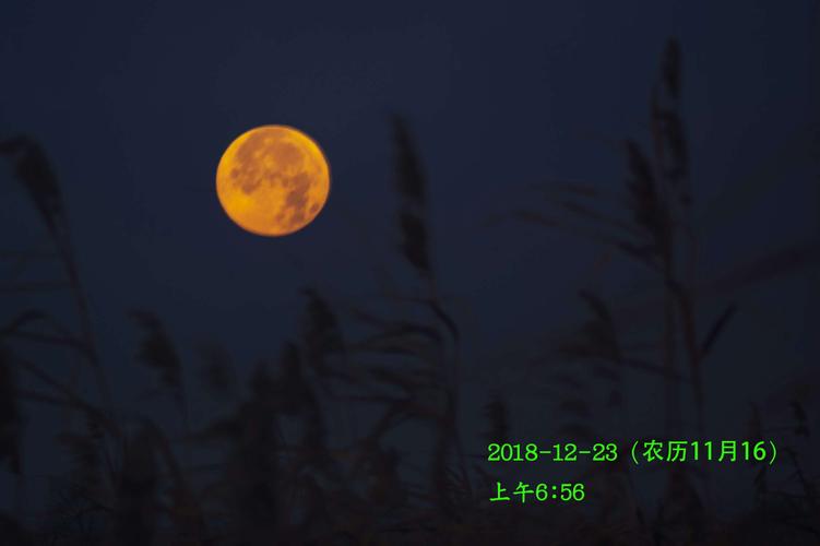 清晨落月