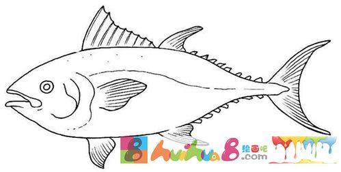 三文鱼简笔画