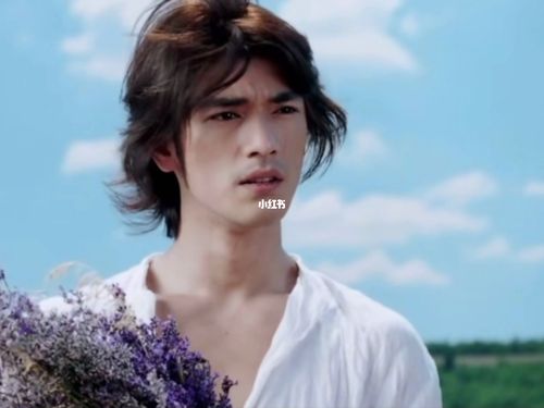 薰衣草:亚洲美男子金城武,化身治愈系天使_治愈系_金城武_电视剧_励志