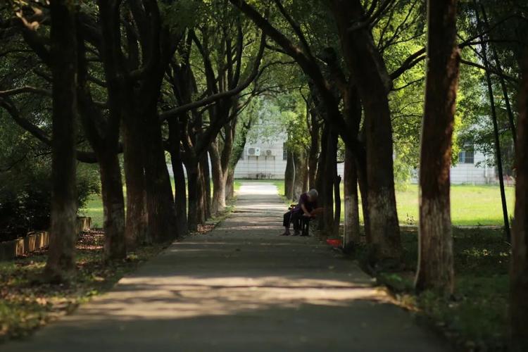 学生组二等奖黄力军校园摄影大赛作品展示4