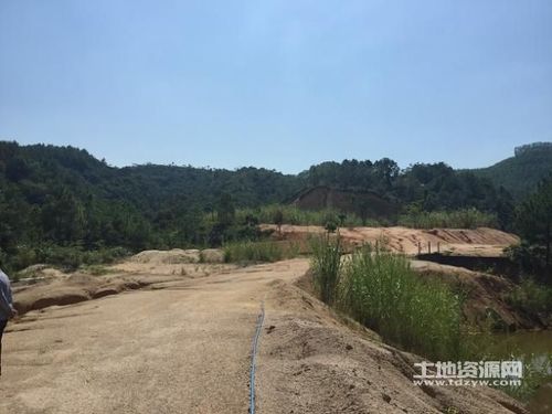 广东惠州博罗县福田镇道姑田村800亩荒山转让