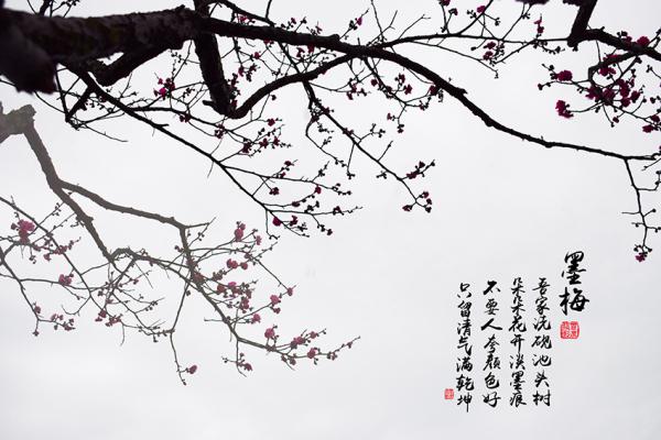 求我家洗砚池边树朵朵花开淡墨痕的意思