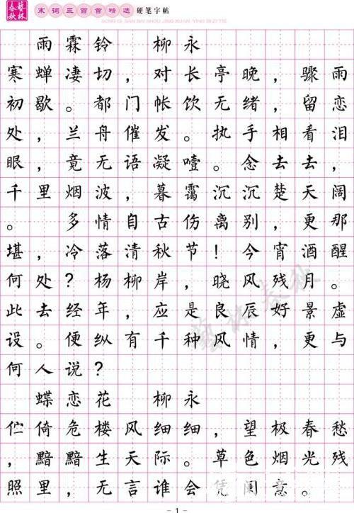 柳体楷书钢笔书法作品图片