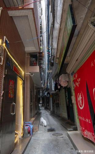 同意率超80%!天河客运站旁,元岗村改造