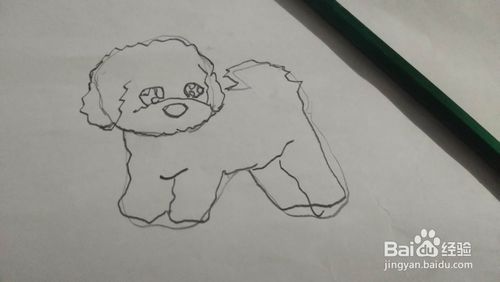比熊怎么画简笔画