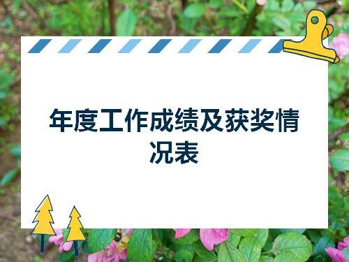 年度工作成绩及获奖情况