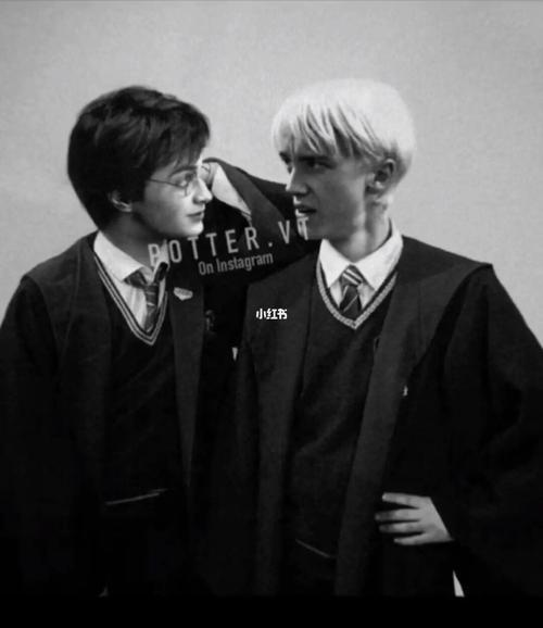 德拉科马尔福_哈利波特_德赫_影视_电影(图文)_外语