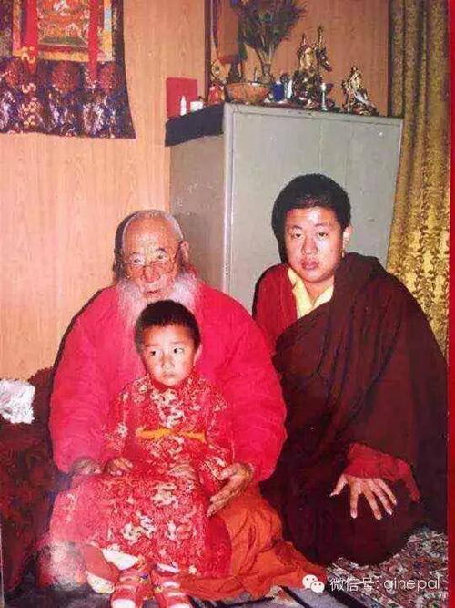 【传承师命随喜感恩】忆念夏扎仁波切恒河第四十七年大型放生活动即将