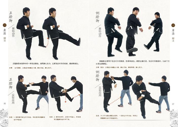 叶问咏春拳从入门到实战 视频学习版