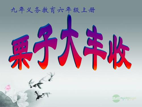 栗子大丰收课件.ppt