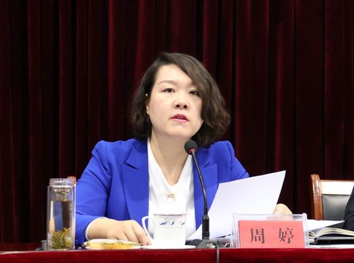淄川区委副书记,区长周婷主持会议并讲话