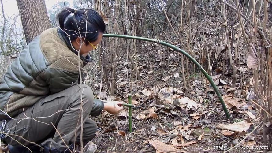一种简单有效的荒野求生脖套陷阱