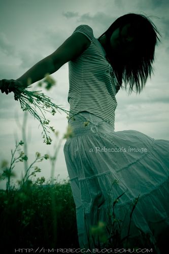 标题:我愿与你随风起舞