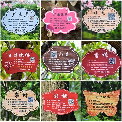 [东泰广告工厂店] 树牌定制亚克力树木介绍挂牌二维码植物认养牌绿化