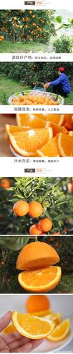 湖北宜昌秭归伦晚脐橙新鲜甜橙子
