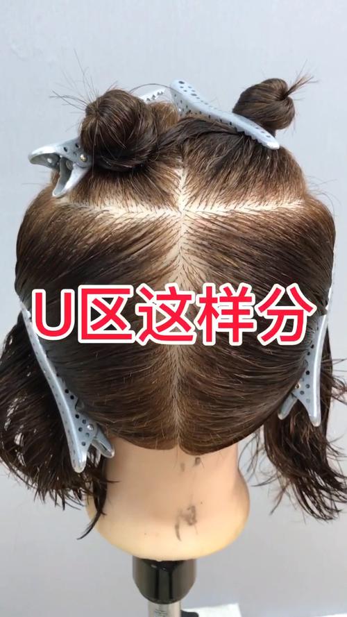 标准分区零基础美发技术教程剪发_美发_时尚_发型