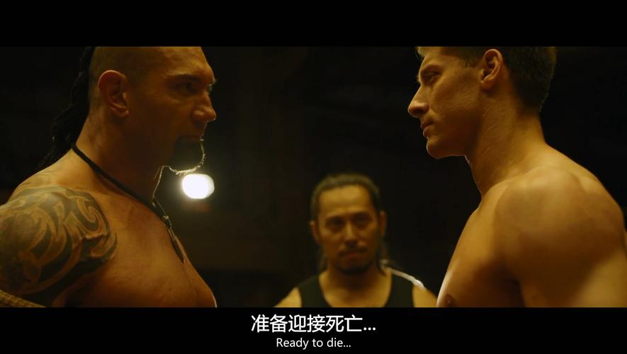 搏击之王 kickboxer (2016)迅雷下载   主演: 戴夫·巴蒂斯塔 / 尚格