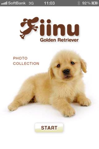 look!goldenretriever