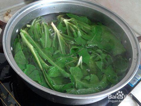 四川苍溪野菜的吃法:[2]凉拌苦麻菜