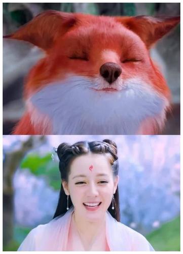 小狐狸|热巴|九帝_新浪新闻