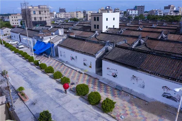 广东青年职业学院(广东省团校)师生到潮南区井都镇 开展"灯塔工程暑期