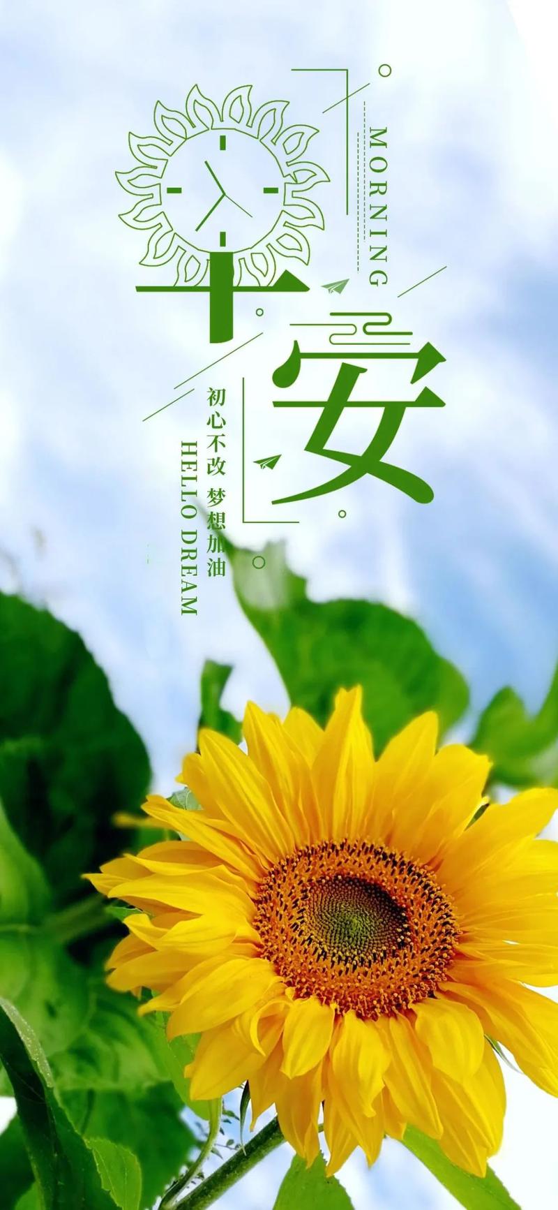 元气满满的早安阳光短句直击内心的问候心灵鸡汤