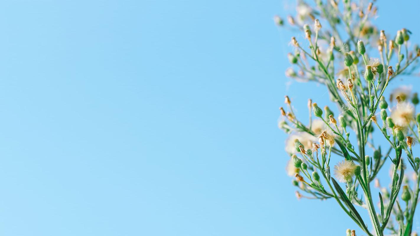 首页 桌面壁纸 高清壁纸 小清新风景图片高清桌面电脑壁纸 第二辑