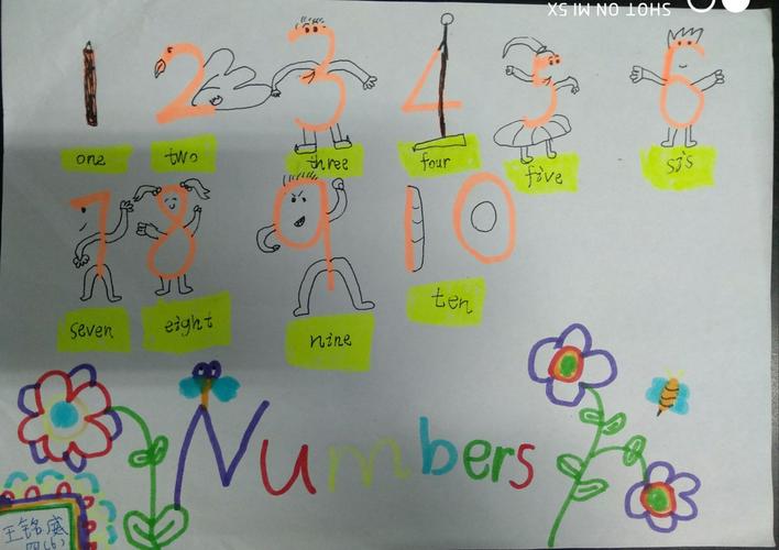 四6班英语numbers主题小报展!