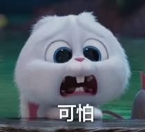 可怕- 《爱宠大机密》兔子表情包_爱宠大机密_兔子_卡通表情
